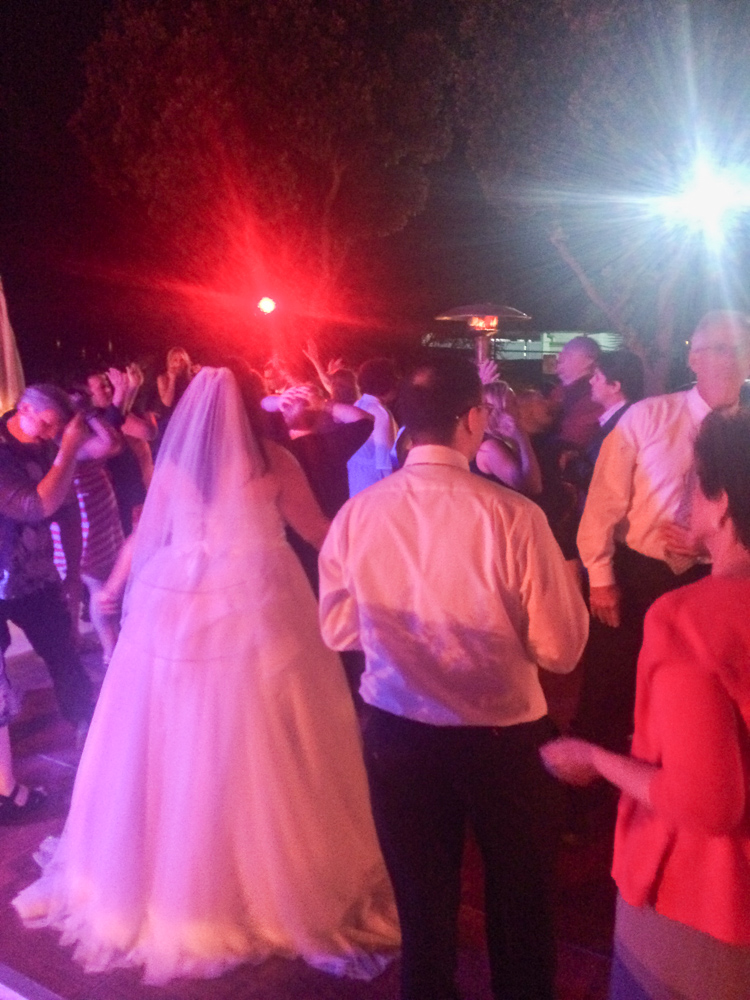 Wedding celebration at Chase Palm Park Center, Santa Barbara