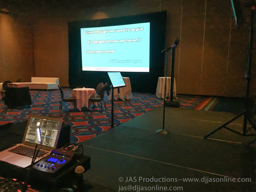 Corporate convention at Disneyland, with DJ JAS