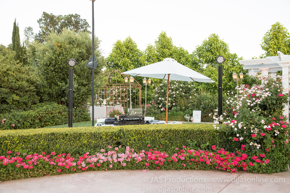 Wedding celebration at Bella Vista Groves, Fillmore