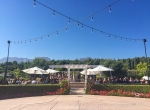 Wedding celebration at Bella Vista Groves, Fillmore