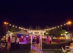 Wedding celebration at Bella Vista Groves, Fillmore