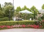 Wedding celebration at Bella Vista Groves, Fillmore