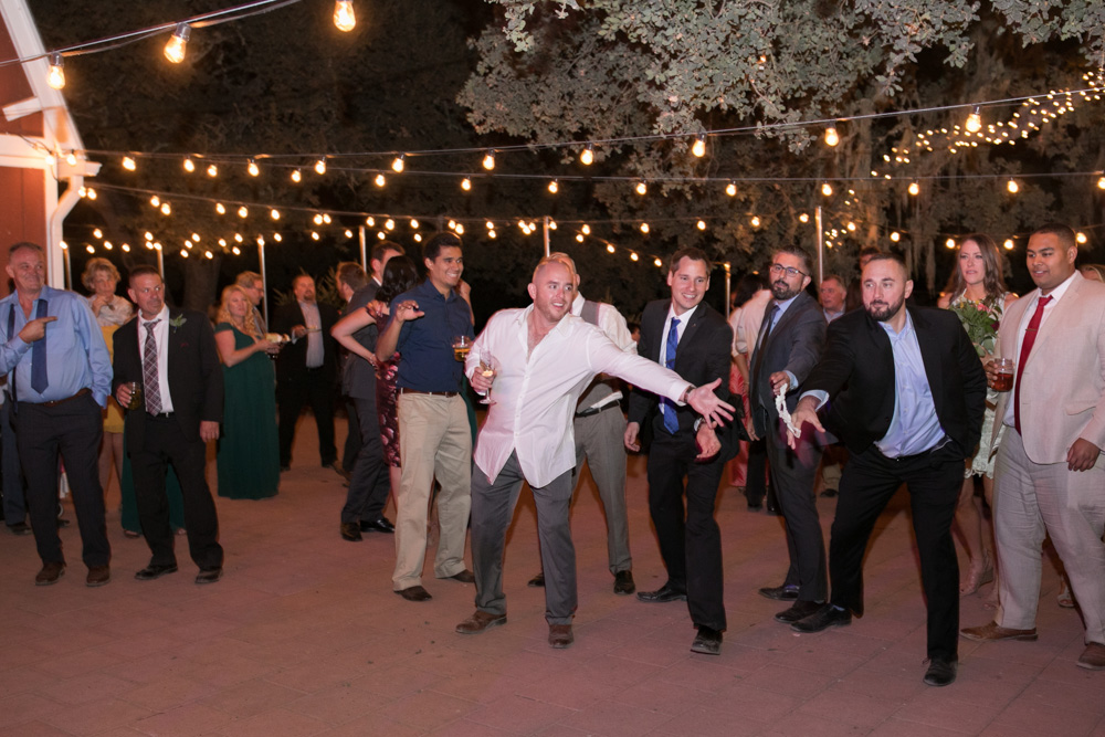 Wedding celebration with DJ JAS