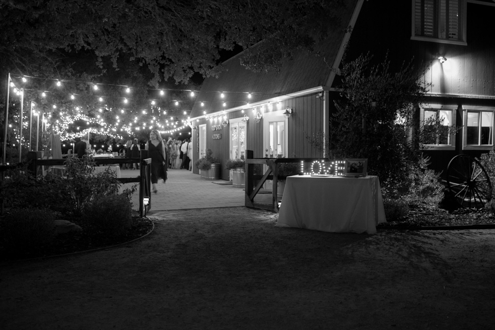 Wedding celebration with DJ JAS