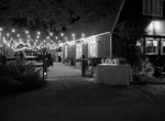 Wedding celebration with DJ JAS