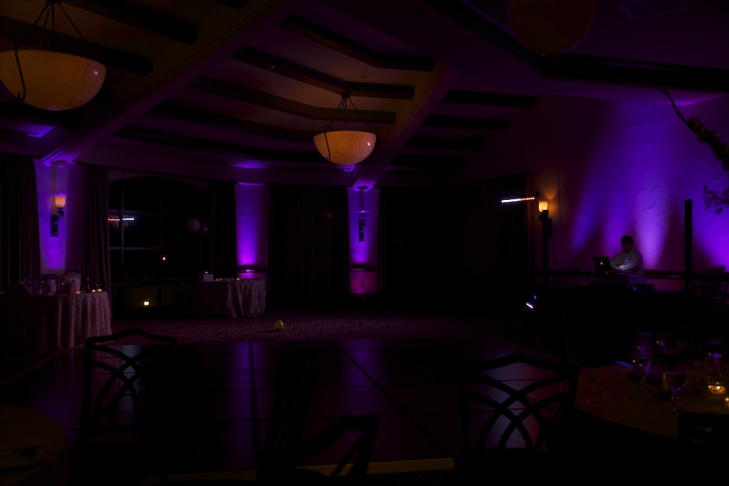 Wedding celebration with DJ JAS