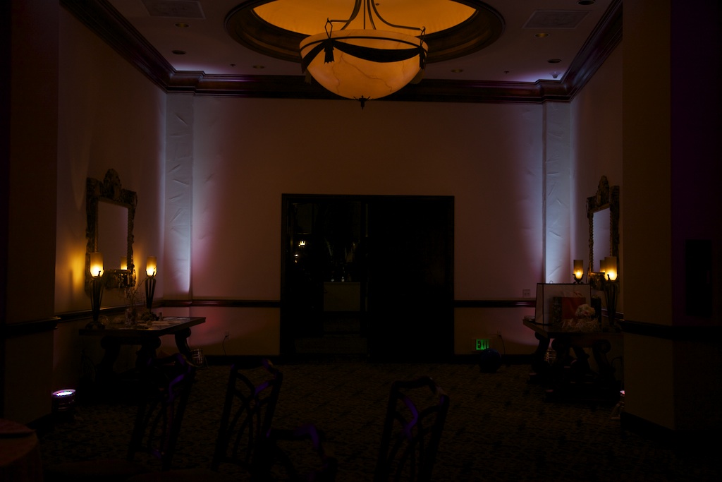 Wedding celebration with DJ JAS