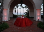 Wedding celebration with DJ JAS