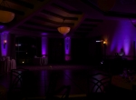 Wedding celebration with DJ JAS