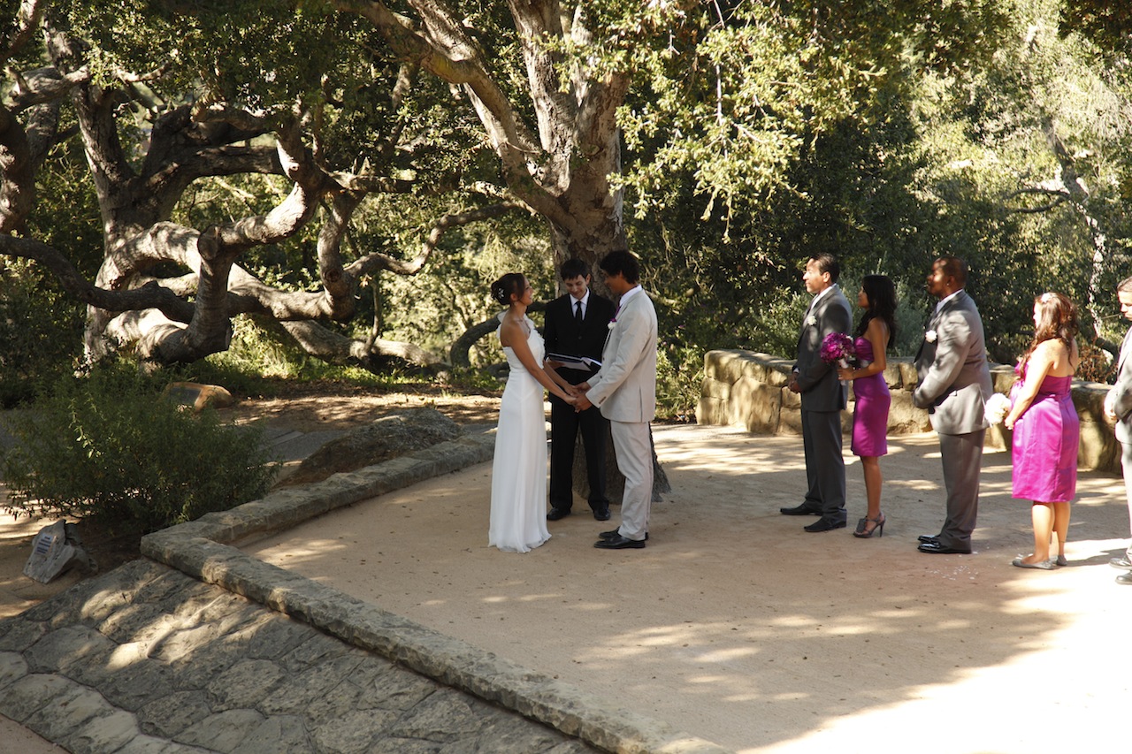 Wedding celebration at Elings Park, Santa Barbara