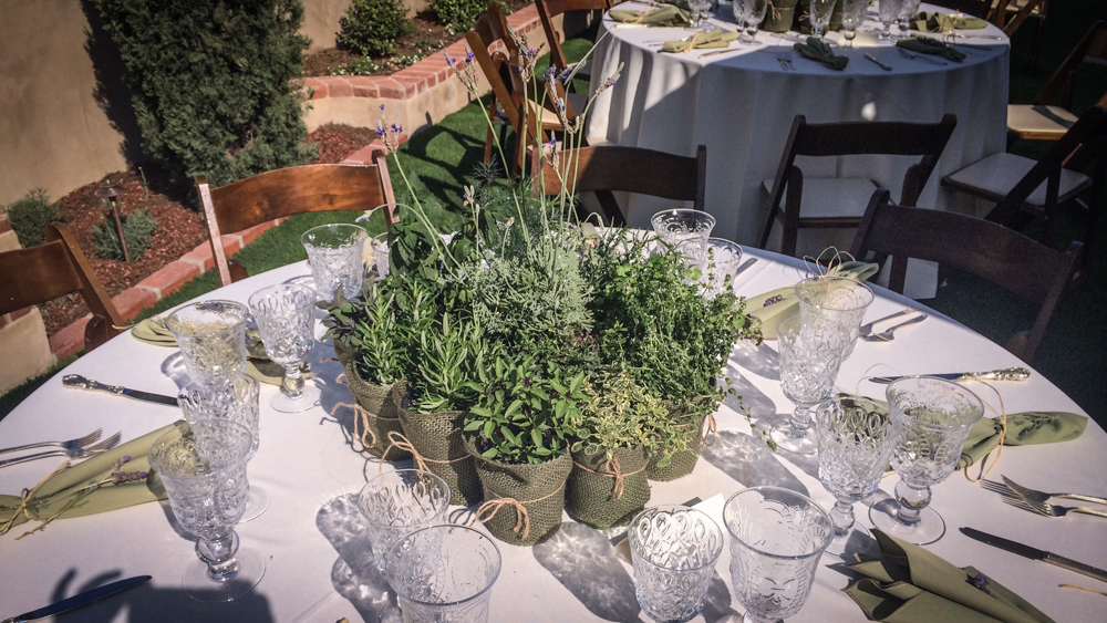 DJ JAS Productions wedding at Santa Barbara