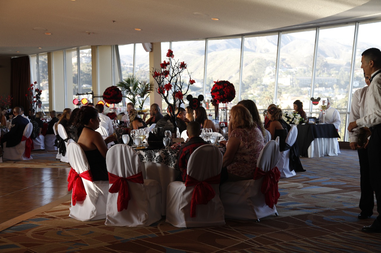Red up-lighting at a wedding reception by DJ JAS