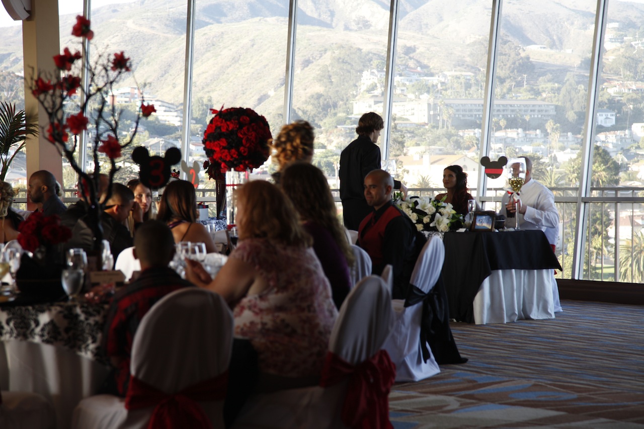 Red up-lighting at a wedding reception by DJ JAS