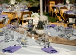 Wedding celebration with DJ JAS