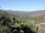 DJ JAS Productions wedding at Malibu