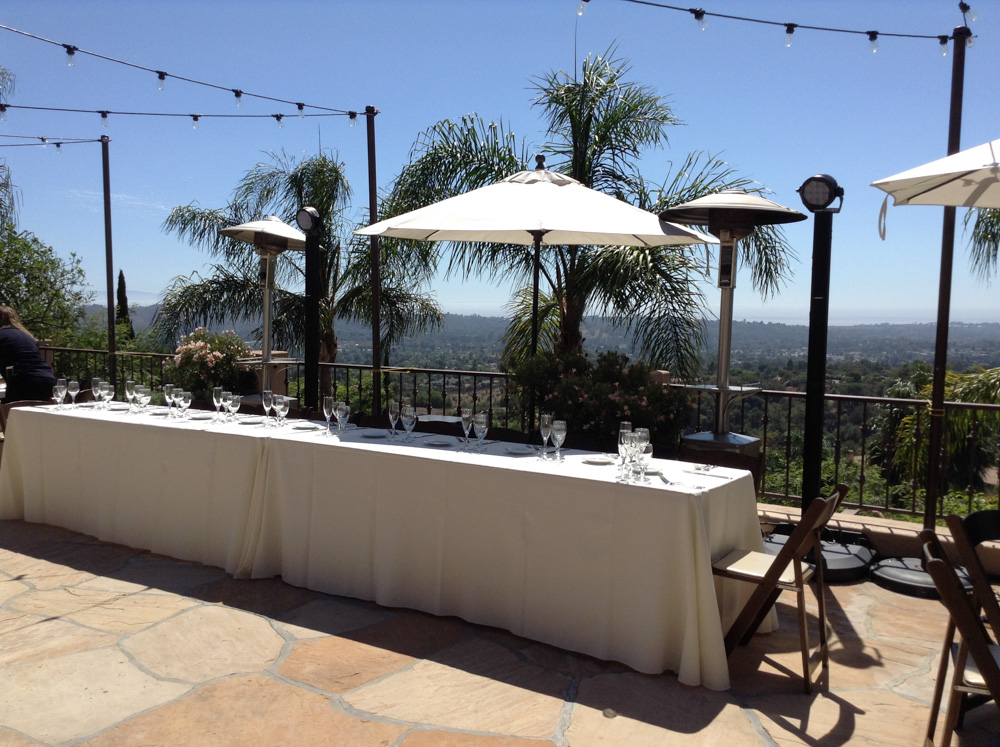 Wedding celebration with DJ JAS