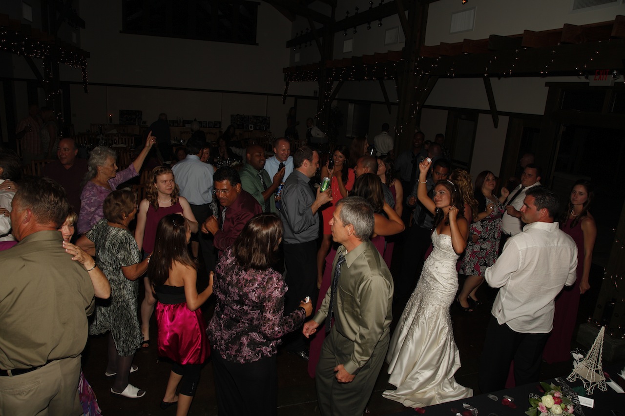 Wedding celebration with DJ JAS