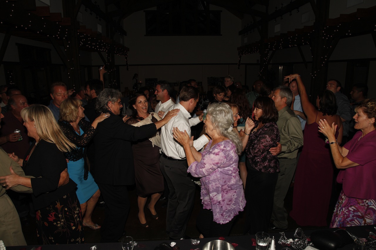 Wedding celebration with DJ JAS