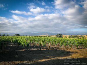 Wedding at Gainey Vineyard, Santa Ynez, with DJ JAS