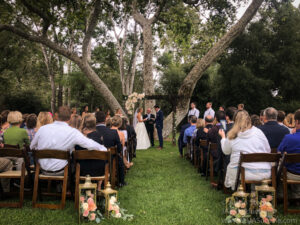 Up-lighting at a wedding at Lions Park, Carpinteria