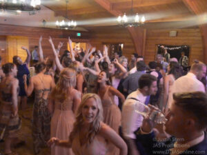 Up-lighting at a wedding at Lions Park, Carpinteria