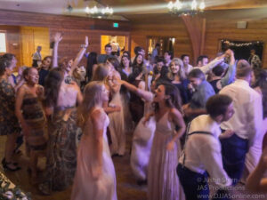 Up-lighting at a wedding at Lions Park, Carpinteria